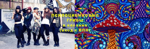 мяу мяу мука Алексеевка