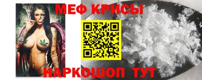 крисы Новозыбков