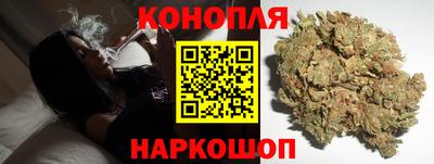 крисы Новозыбков