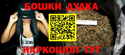 крисы Новозыбков