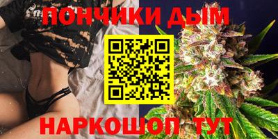крисы Новозыбков