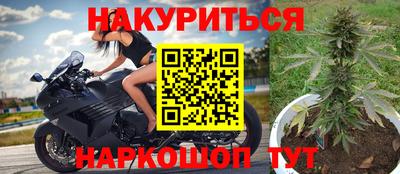 крисы Новозыбков