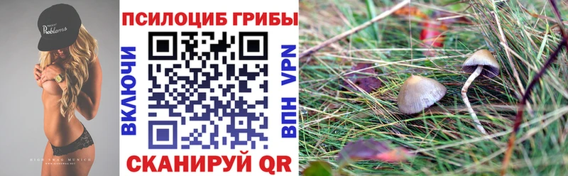Псилоцибиновые грибы Magic Shrooms  где можно купить наркотик  Уссурийск 