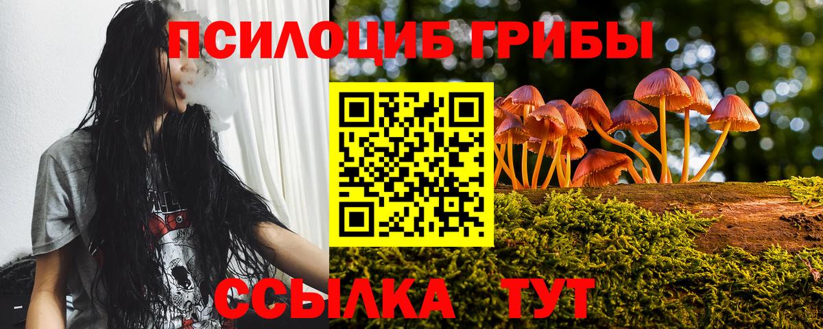 Псилоцибиновые грибы Psilocybe  Вход с VPN  Уссурийск 